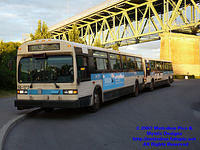 STM-14177-062007-02.jpg