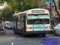 STM-15003-092408-03.jpg
