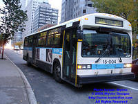 STM-15004-101308-01.jpg