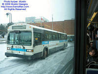 STM-15018-010209-01.jpg