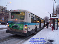 STM-15021-010209-03.jpg