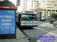 STM-15027-063006-01.jpg
