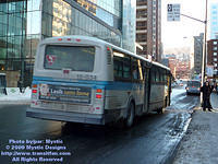 STM-15034-012409-01.jpg