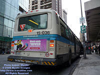 STM-15036-021609-03.jpg