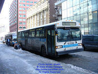 STM-15036-022509-01a.jpg