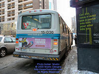 STM-15036-022509-03.jpg
