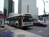 STM-15039-021609-01.jpg