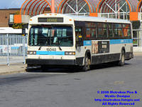 STM-15040-101506-01.jpg
