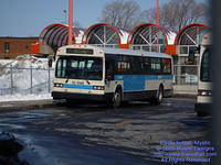 STM-15048-022509-01.jpg