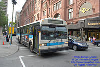 STM-15052-091309-02.jpg