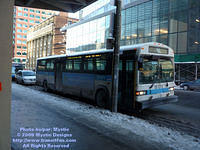 STM-15072-012409-01.jpg