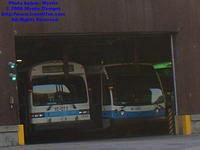 STM-15072-092408-01.jpg