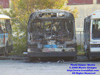 STM-15078-092408-02.jpg