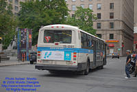 STM-15091-091309-02.jpg