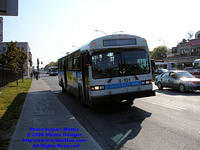 STM-15101-092408-01.jpg