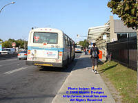 STM-15101-092408-02.jpg