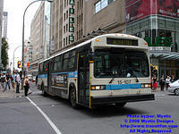 STM-15107-073108-04.jpg