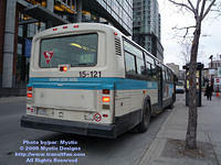 STM-15121-021609-02.jpg
