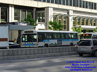 STM-15125-052907-01.jpg