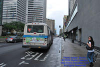 STM-15125-070809-03.jpg