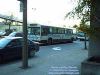 STM-15140-071105-01.jpg