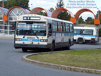 STM-59053-090105-03SP.jpg