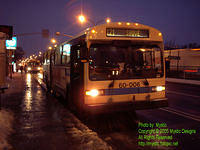 STM-60006-122805-01bSP.jpg