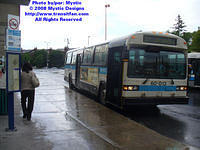 STM-60013-061808-02.jpg