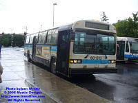 STM-60013-061808-03.jpg