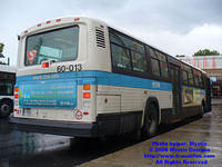 STM-60013-061808-04.jpg