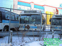 STM-60072-021706-01FP.jpg