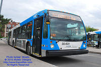 STM-30831-050210-01.jpg