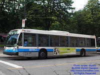 STM-16004-080609-01.jpg
