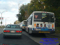 STM-16037-101506-01.jpg
