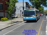 STM-16040-052508-01.jpg