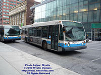 STM-17011-021609-01.jpg