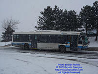STM-17061-010209-04.jpg