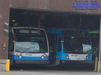 STM-17082-091309-01.jpg