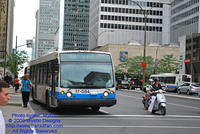 STM-17084-071509-03.jpg