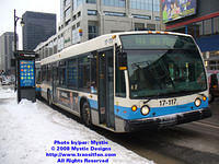 STM-17117-020508-01.jpg