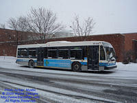 STM-17126-010209-04.jpg