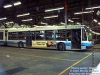 STM-17136-103005-01.jpg