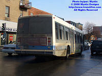 STM-17172-020808-01.jpg