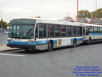 STM-17173-102609-01.jpg