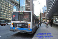 STM-18027-070509-02.jpg