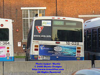STM-18028-092408-01.jpg