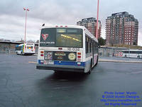 STM-18038-113009-01.jpg