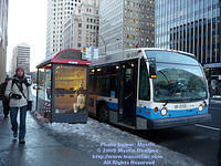 STM-18059-010509-01.jpg