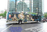 STM-18059-070809-04.jpg