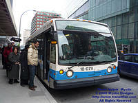 STM-18079-021609-03.jpg